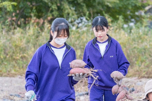 まじめな芋チップス